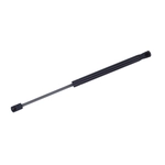 Order Lift Support by TUFF SUPPORT - 613646 For Your Vehicle