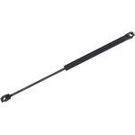 Order Lift Support by TUFF SUPPORT - 613657 For Your Vehicle