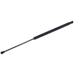 Order TUFF SUPPORT - 613674 - Trunk Lid Lift Support For Your Vehicle