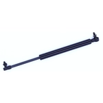 Order Support de levage par TUFF SUPPORT - 613698 For Your Vehicle