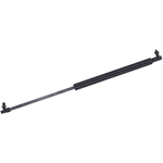 Order Lift Support by TUFF SUPPORT - 613699 For Your Vehicle
