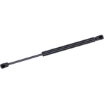 Order Lift Support by TUFF SUPPORT - 613710 For Your Vehicle
