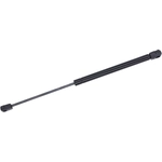Order Lift Support by TUFF SUPPORT - 613729 For Your Vehicle