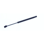 Order Lift Support by TUFF SUPPORT - 613761 For Your Vehicle