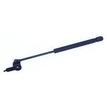 Order Support de levage par TUFF SUPPORT - 613779 For Your Vehicle