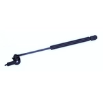 Order Support de levage par TUFF SUPPORT - 613780 For Your Vehicle