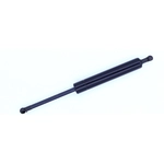 Order Lift Support by TUFF SUPPORT - 613803 For Your Vehicle