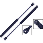 Order Lift Support by TUFF SUPPORT - 613805 For Your Vehicle