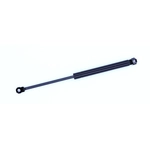 Order Support de levage par TUFF SUPPORT - 613807 For Your Vehicle