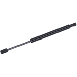Order Lift Support by TUFF SUPPORT - 613841 For Your Vehicle