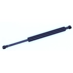 Order Lift Support by TUFF SUPPORT - 613895 For Your Vehicle
