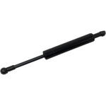 Order TUFF SUPPORT - 613903 - Liftgate Lift Support For Your Vehicle