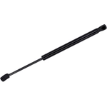 Order Lift Support by TUFF SUPPORT - 613906 For Your Vehicle