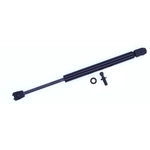 Order Lift Support by TUFF SUPPORT - 613935 For Your Vehicle