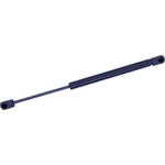 Order TUFF SUPPORT - 613967 - Back Glass Lift Support For Your Vehicle