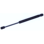Order TUFF SUPPORT - 613998 - Driver Side Liftgate Lift Support For Your Vehicle