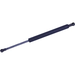 Order TUFF SUPPORT - 613998 - Driver Side Liftgate Lift Support For Your Vehicle