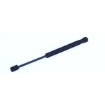 Order Lift Support by TUFF SUPPORT - 614054 For Your Vehicle