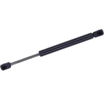 Order Support de levage par TUFF SUPPORT - 614072 For Your Vehicle