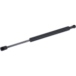 Order Lift Support by TUFF SUPPORT - 614087 For Your Vehicle