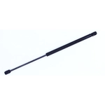 Order Lift Support by TUFF SUPPORT - 614124 For Your Vehicle