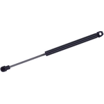 Order Support de levage by TUFF SUPPORT - 614177 For Your Vehicle