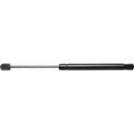 Order TUFF SUPPORT - 614271 - Lift Support For Your Vehicle