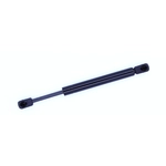 Order Support de levage par TUFF SUPPORT - 614371 For Your Vehicle