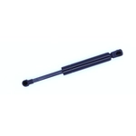 Order Support de levage par TUFF SUPPORT - 614399 For Your Vehicle