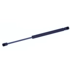 Order Lift Support by TUFF SUPPORT - 614419 For Your Vehicle