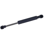 Order TUFF SUPPORT - 614436 - Trunk Lid Lift Support For Your Vehicle