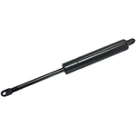 Order Lift Support by TUFF SUPPORT - 614487 For Your Vehicle