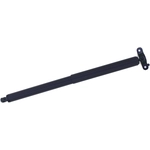 Order Support de levage par TUFF SUPPORT - 615032 For Your Vehicle