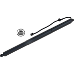 Order TUFF SUPPORT - 615077 - Driver Side Liftgate Lift Support For Your Vehicle