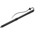 Order TUFF SUPPORT - 615101 - Liftgate Lift Support For Your Vehicle