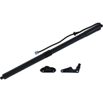 Order TUFF SUPPORT - 615107 - Lift Support For Your Vehicle
