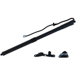 Order TUFF SUPPORT - 615109 - Liftgate Lift Support For Your Vehicle