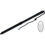 Order TUFF SUPPORT - 615110 - Driver Side Liftgate Lift Support For Your Vehicle