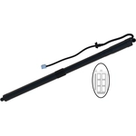 Order TUFF SUPPORT - 615111 - Passenger Side Liftgate Lift Support For Your Vehicle