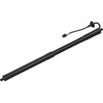 Order TUFF SUPPORT - 615115 - Passenger Side Liftgate Lift Support For Your Vehicle