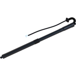 Order TUFF SUPPORT - 615118 - Passenger Side Liftgate Lift Support For Your Vehicle