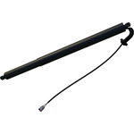 Order Lift Support by TUFF SUPPORT - 615197 For Your Vehicle