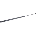 Order Lift Support by URO - 1C0823359E For Your Vehicle