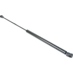 Order Lift Support by URO - 1J6827550C For Your Vehicle