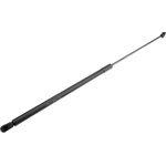 Order Lift Support by URO - 1K0823359A For Your Vehicle