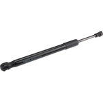 Order Lift Support by URO - 1K5827550C For Your Vehicle