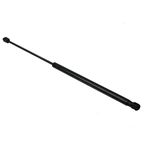 Order Lift Support by URO - 2038800029 For Your Vehicle