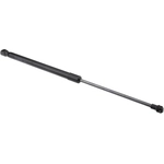 Order Lift Support by URO - 31218511 For Your Vehicle