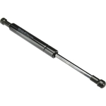 Order URO - 31335795 - Hatch Strut For Your Vehicle