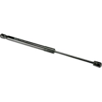 Order Lift Support by URO - 31425788 For Your Vehicle